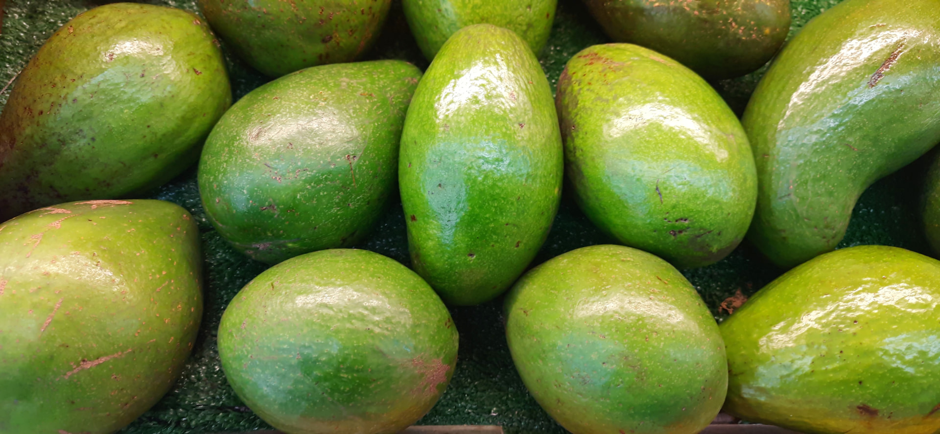 Aguacate
