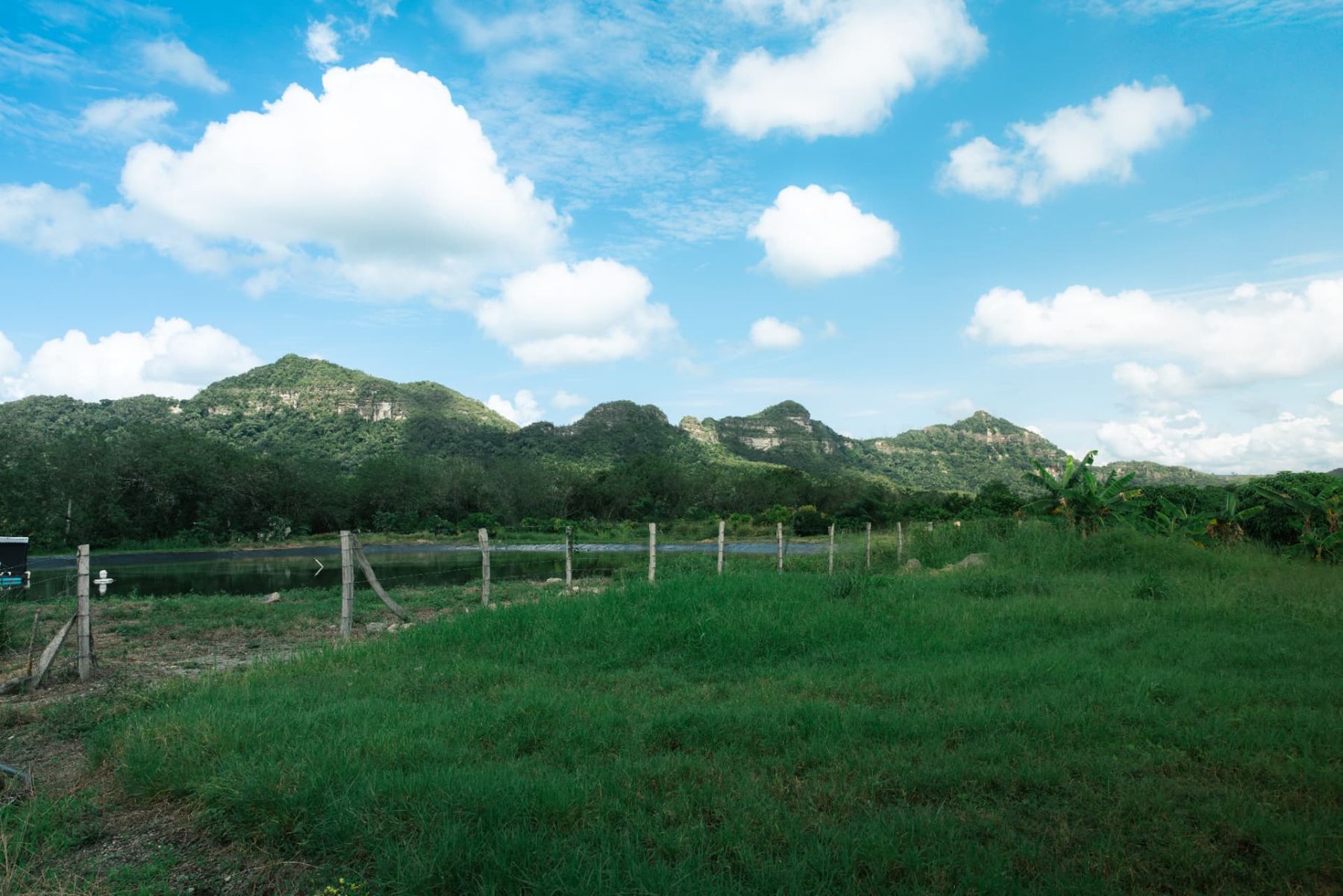 La finca